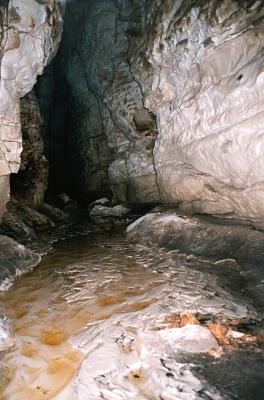 Dog Leg Pass stream passage[PSwart]